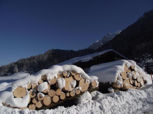 Ferienwohnung am Römerweg Wald - main image