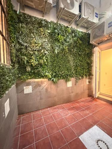 5'walk to plaza Mayor, 2 bedroom 1 sofa bed