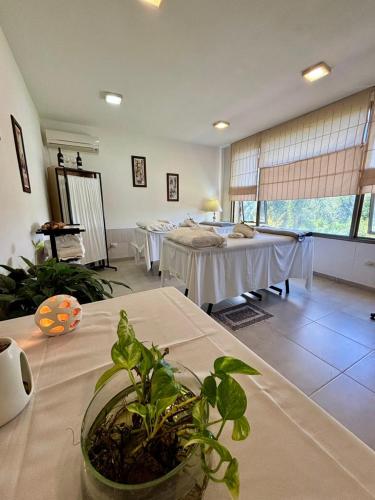 스파, Villa La Font Apart Hotel & Spa in 비야 카를로스 파스
