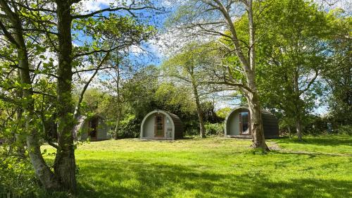 Chestnut Meadow Camping & Glamping
