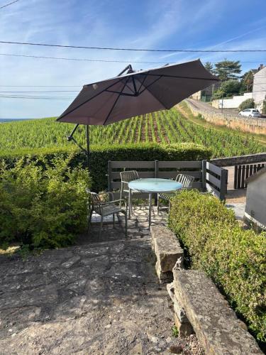 Сад, Maison avec vue imprenable sur les vignes in Морі-Сан-Дені