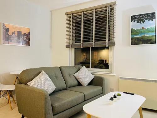 Entire 1 Bed Central Flat - St Albans in سانت ألبانز