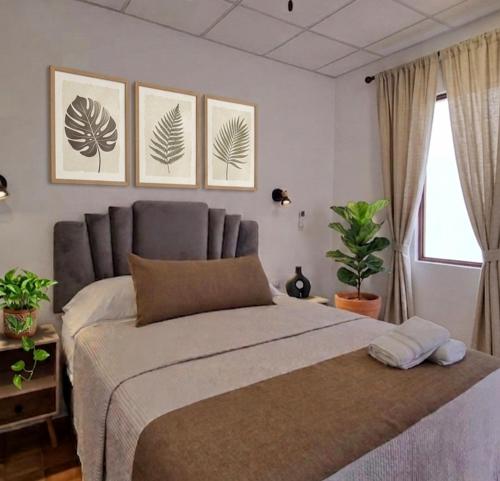 AMINA Inn in 弗洛雷斯