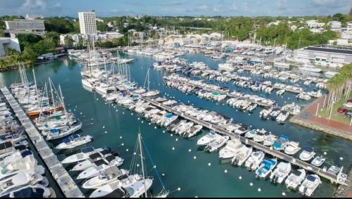 Caraïbes Break - Votre confort en centre-ville ! (Caraibes Break - Votre confort en centre-ville !) in Baimbridge