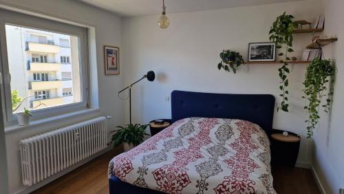 Charmante chambre à proximité des institutions européennes – khách sạn tại Quartier de l'Orangerie