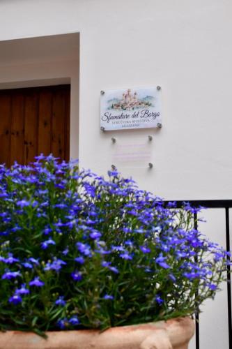 Sfumature del Borgo