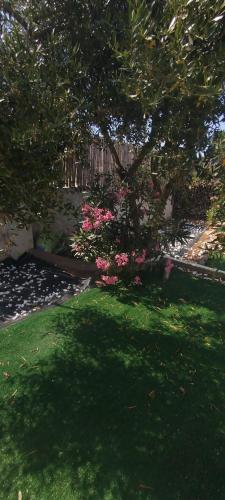 Casa Ribes Rooms, l'angolo tranquillo alle porte della città 2