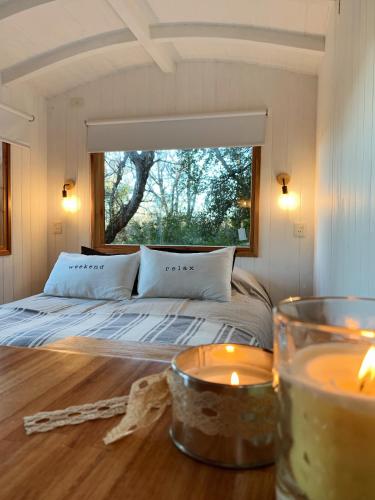Casa Calvé Tiny House en el Bosque con Deck Privado San Martín de los Andes (Casa Calve Tiny House en el Bosque con Deck Privado San Martin de los Andes) in Lolog