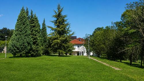 Viesnīcas āriene, Hotel Radmilovac in Vinca