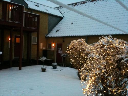 Motel Stege - image 4