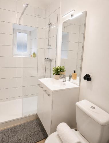 Le Déchelette 2, appartement cosy en plein centre (Le Dechelette 2, appartement cosy en plein centre) in Roanne