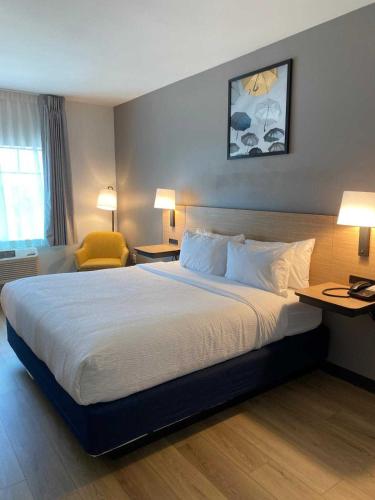 Best Western Plus Spring Inn & Suites - image 22