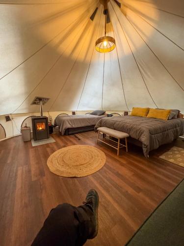 Casa del Árbol - Glamping (Casa del Arbol - Glamping) in Malalcahuello