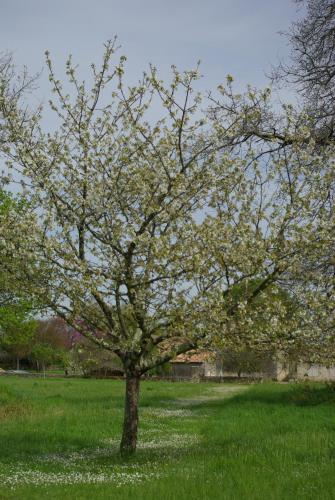 Domaine de Bel Air Carpe Diem – Tizac-de-Curton, FL