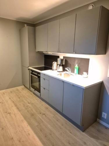 Central 3-room apartment with free parking in ヘーネフォス