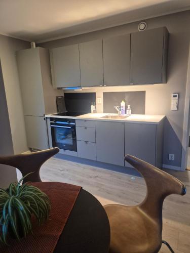 Central 3-room apartment with free parking in ヘーネフォス
