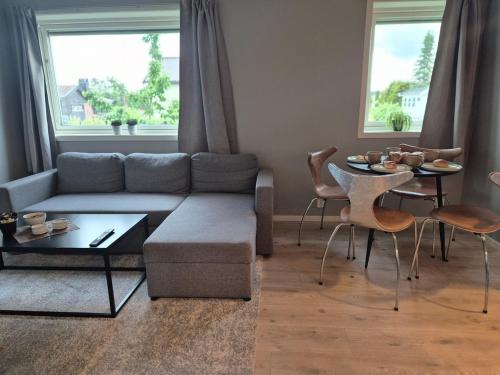 Central 3-room apartment with free parking in ヘーネフォス