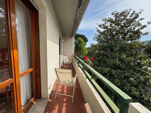 Alle Gardenie - image 4