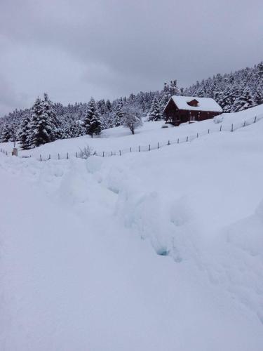 Katafygio Chalet, Krikello