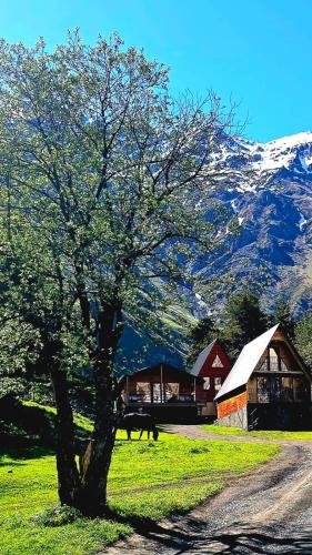 Elia Hut Kazbegi, Kazbegi