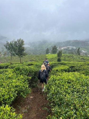 Laughing Leopard Hostel in Nuwara Eliya