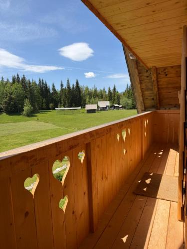 Apkārtne, Cabin Praprotnica Pokljuka in Srednja Vas V Bohinju