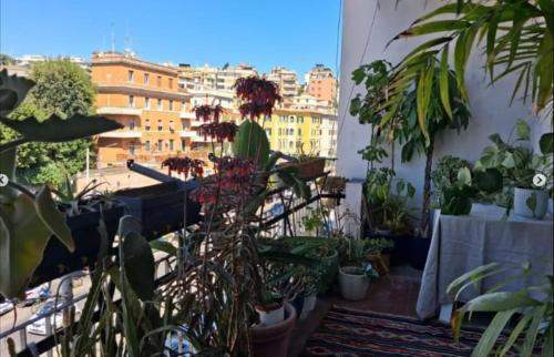 Trastevere Bright Terrace Apartment