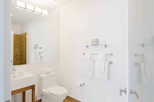 President Hotel - image 4
