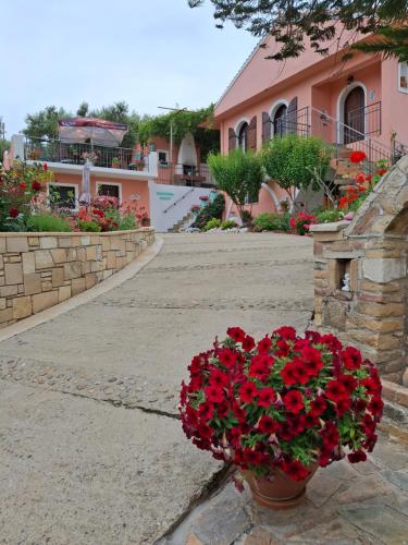 Terra Solaris Guesthouse in Mithimna