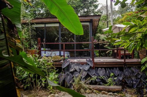 1 king bed, 1 sofa bed