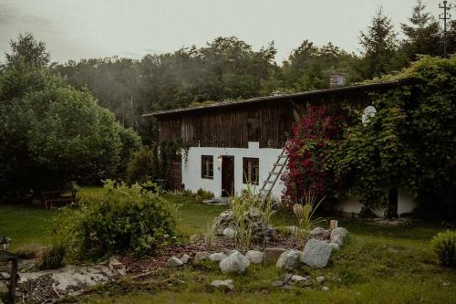 LEśNA chatka z Jacuzzi - Odludzie, Ogród, Cisza