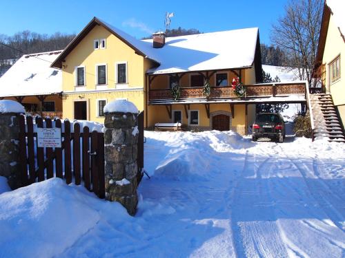 Hajduk Apartment - Hotel - Międzylesie