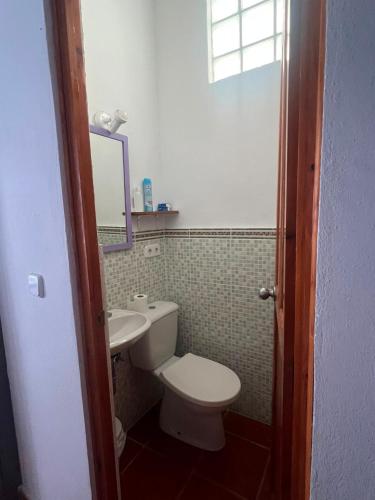 FlorCactus, Níjar (photo 7)