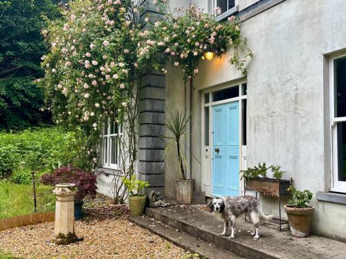 Udvendig, Blackhill Woods Retreat in Abbeyleix
