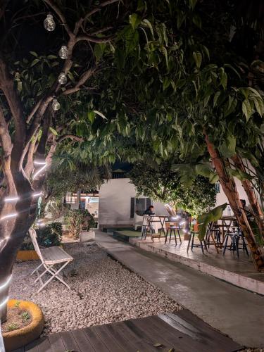 puutarha, Orange3 Hostel in Lagos