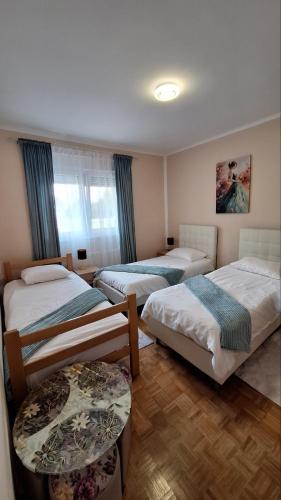 Veslo IN in Beška