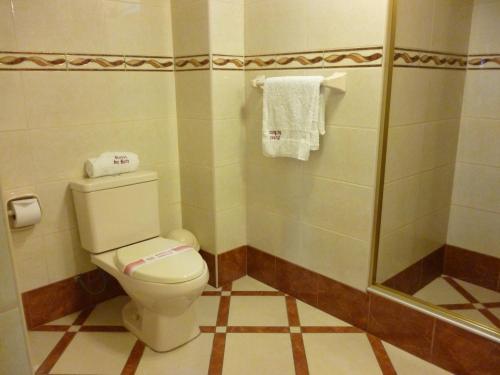 Bathroom, Hotel Faraon in Tacna