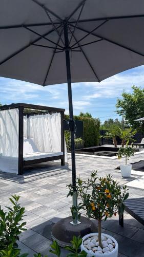 Koplietošanas atpūtas telpa ar TV, Villa NOA in Dvorovi