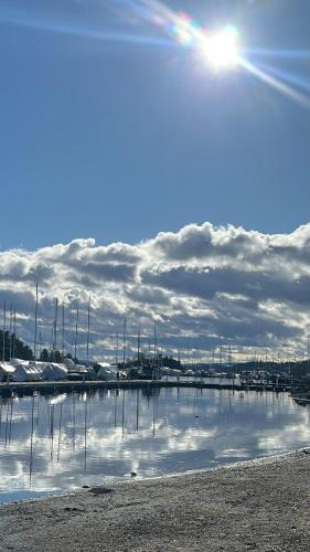 Bright Nordic Apartment Near Beaches & City Center in Ullern