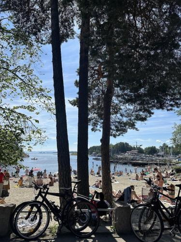Bright Nordic Apartment Near Beaches & City Center in Ullern