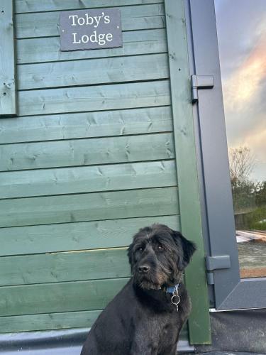 Tobys Lodge in Broadford