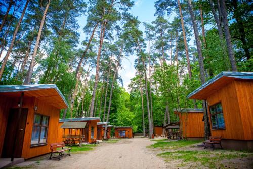 Ośrodek Wczasowy Danusia w Lidzbarku (Osrodek Wczasowy Danusia w Lidzbarku) in Lidzbark