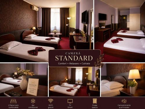 Pensiunea Passion Room Type - Standard Twin Room