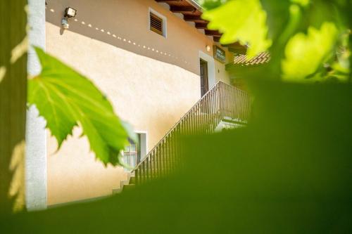 Farm Stay Ferjančič
