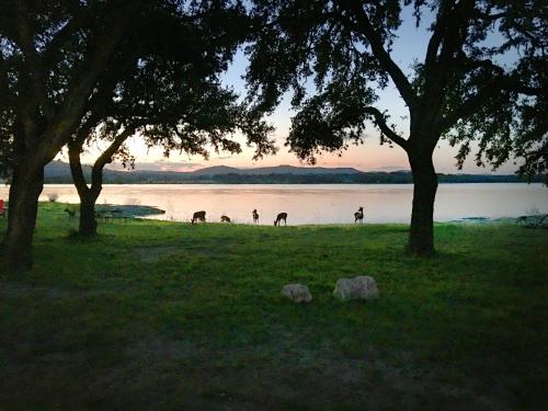 Vista, Medina Lake Camping Resort Studio Cabin 1 in Lakehills (TX)