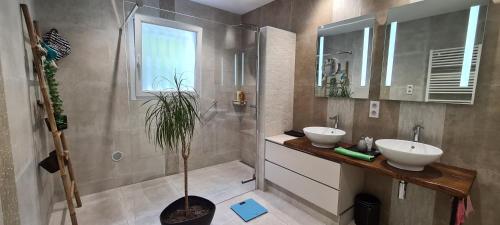 Villa climatisee calme et lumineuse avec un jardin verdoyant une piscine un terrain de tennis in Montpellier