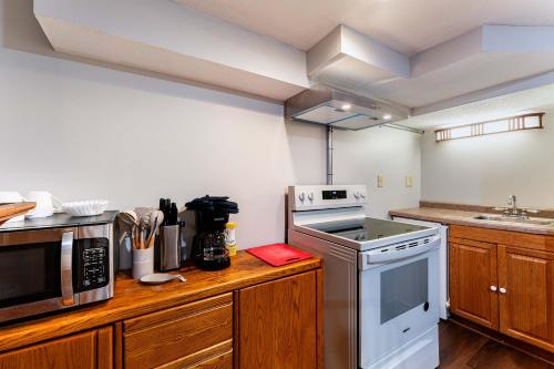 Létesítmények, 2BR Basement - Near St Paul - WFH Desk & Patio in Oakdale (Minnesota)