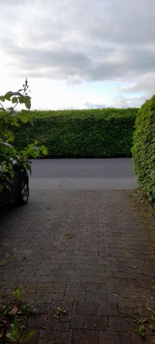 Double Bed in Loft Space with En Suite in Loughrea