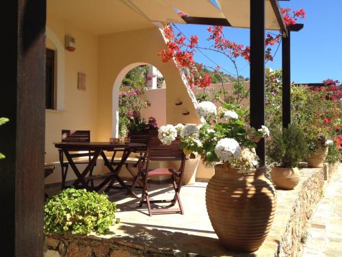 Fissi Villas agritourism accommodation near the sea