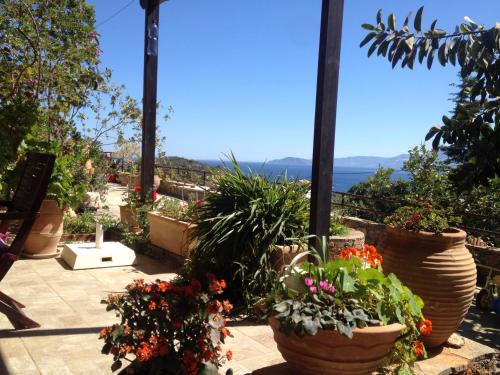 Fissi Villas agritourism accommodation near the sea